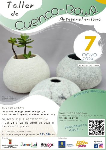 Taller Cuenco De Lana Artesanal