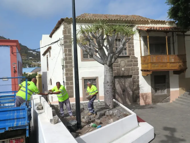 Trabajadores Municipales Retiran Los Adoquines Del Drago En La Mañana De Hoy Lunes.