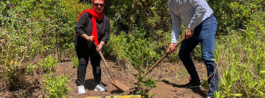 UN ÁRBOL POR EUROPA