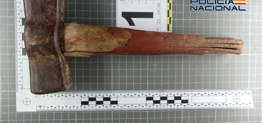 WhatsApp Image 2026-01-08 at 13.31.03