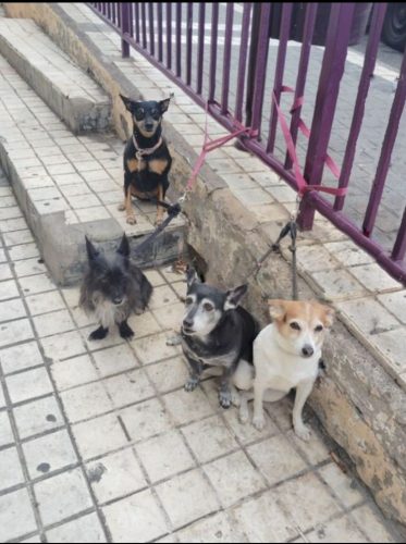 WhatsApp Image 2026-02-23 at 09.27.02