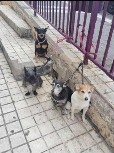 Whatsapp Image 2026-02-23 At 09.27.02