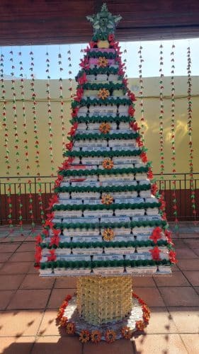 Anrbol Con Cartones De Huevos Saucillo (2)