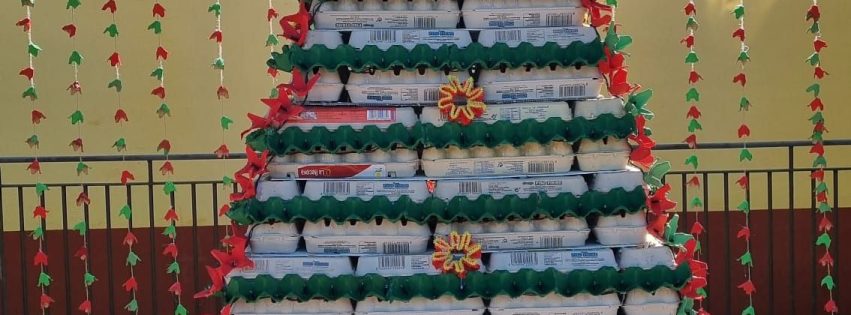 anrbol con Cartones de Huevos Saucillo (2)