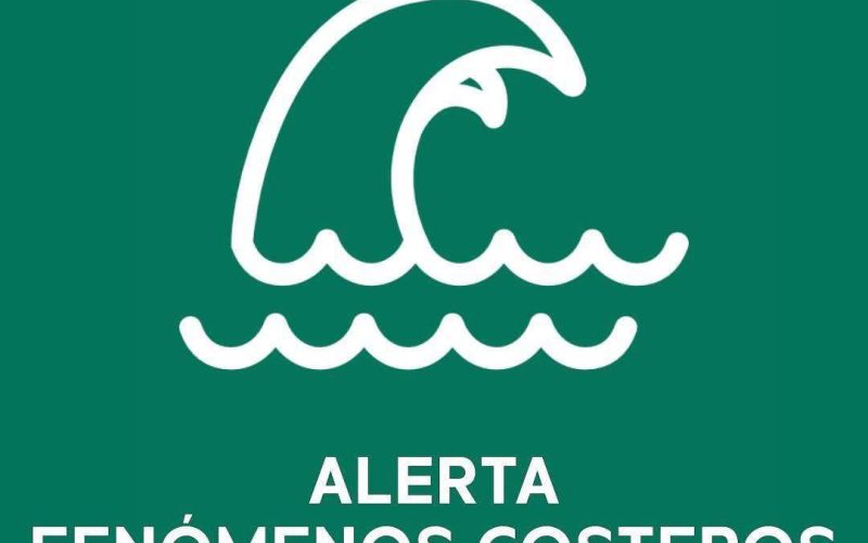 d2d81007-d559-4a58-a737-15dd1863307d