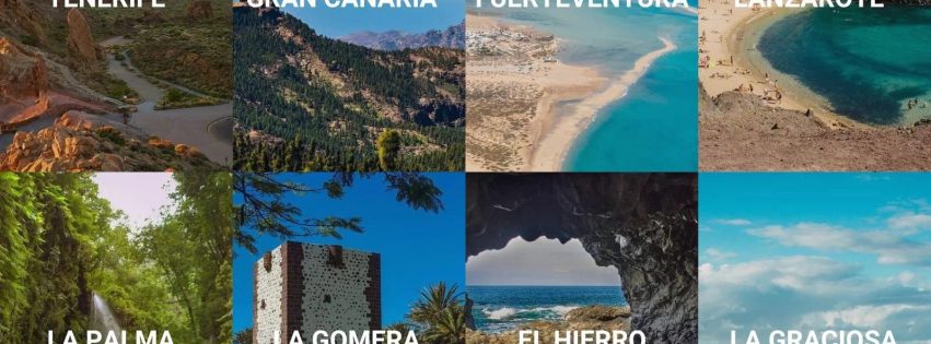 f308dca6-5817-4364-bc46-11071115af0b f308dca6-5817-4364-bc46-11071115af0b