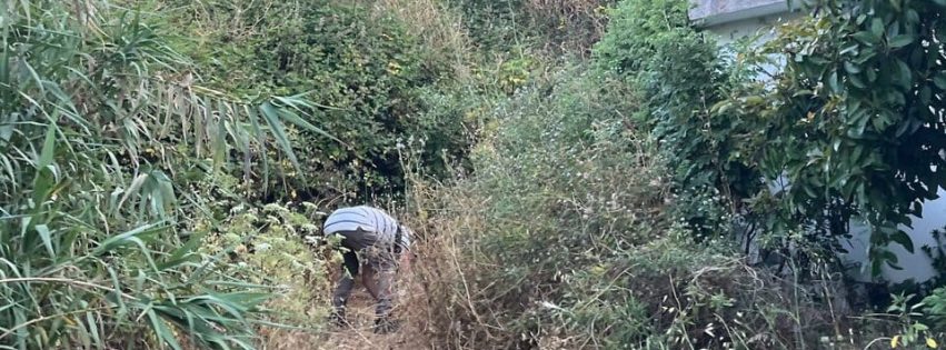 indencio_forestal_laspalmas_foto3