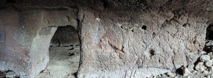 pxl_20230211_100155785-pxl_20230211_100202467-1-scaled